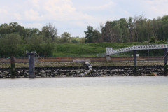 25-05-24_Honfleur-110